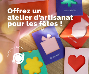 Wecandoo — bannière cadeau de Noël (300x250)